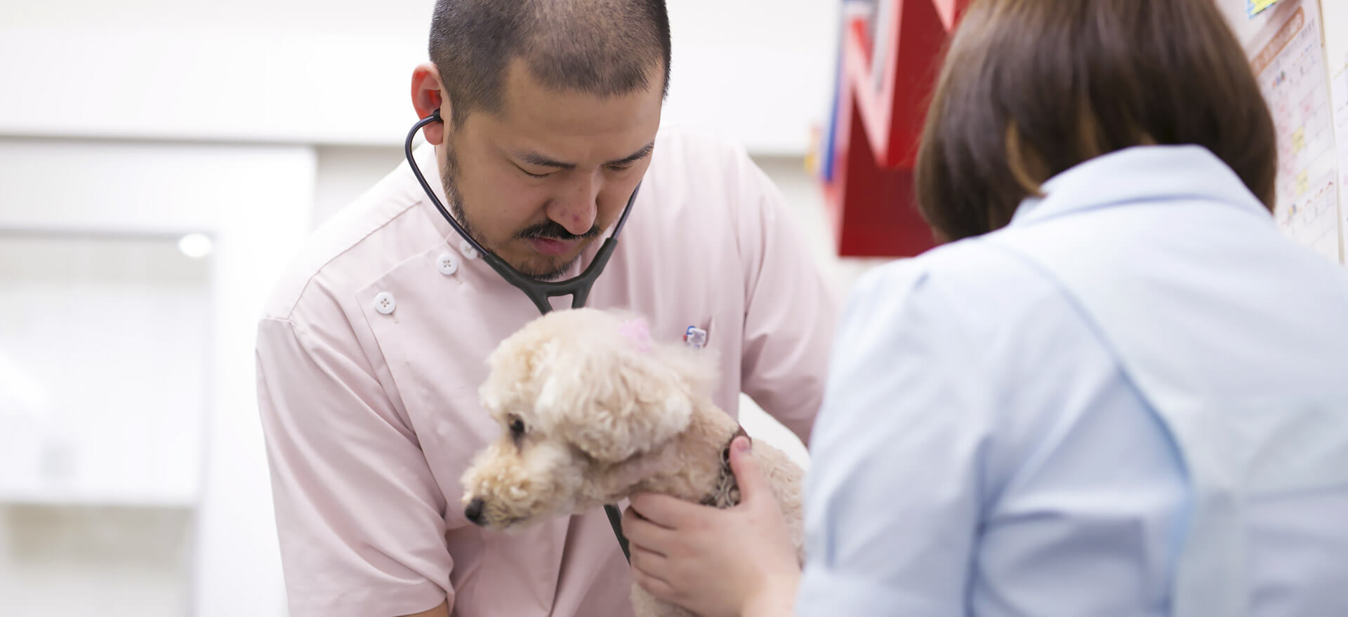 原価率と在庫の不安を軽くする、仕入れの新しい形