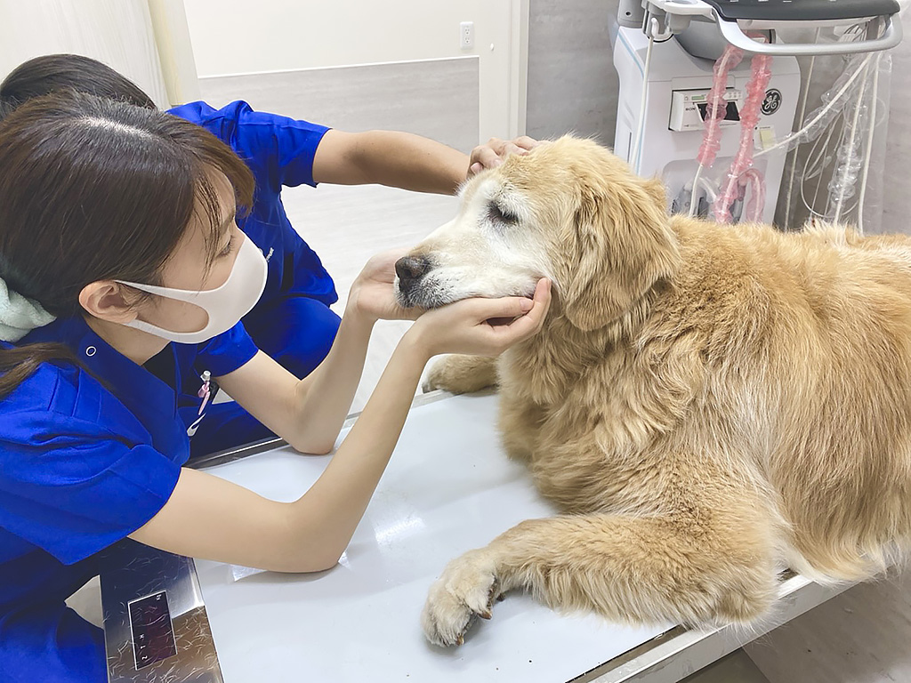 仕入れ業務の負担を軽くする、シンプルで効果的な仕組み