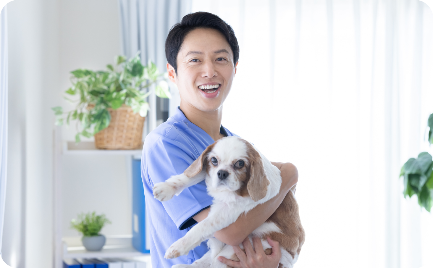 交渉のアウトソースができることを喜ぶ獣医師