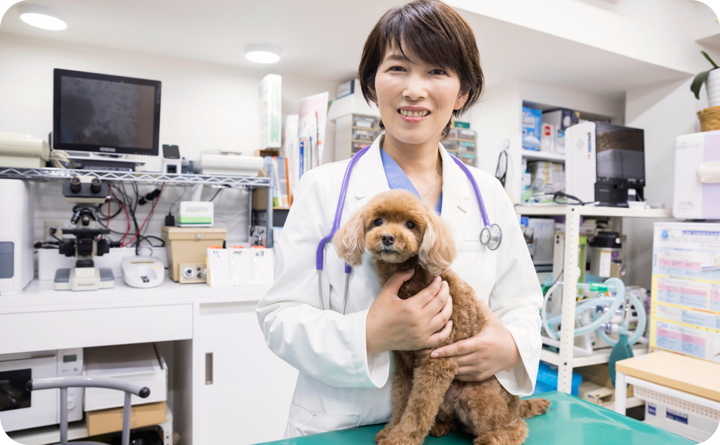 オペレーション上の心理的な負担が減ることを期待している獣医師