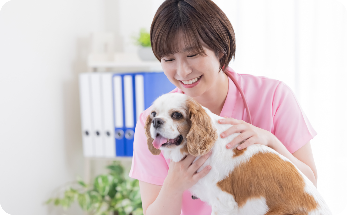 人手不足時代の一助になることを期待する獣医師。